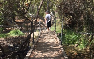 Take a Hike- Los Peñasquitos Canyon Preserve