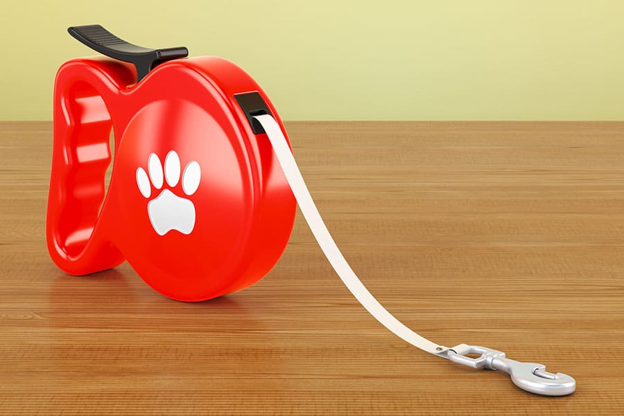 Put That Leash Down! The Dangers of Retractable Leashes