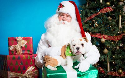 4 Ways to Include Your Pets for the Holidays