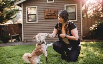 Meet Tay! Dog Trainer Extraordinaire 