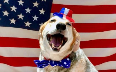 Prep for 4th of July