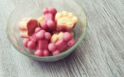 Summertime Dog Treat Recipes